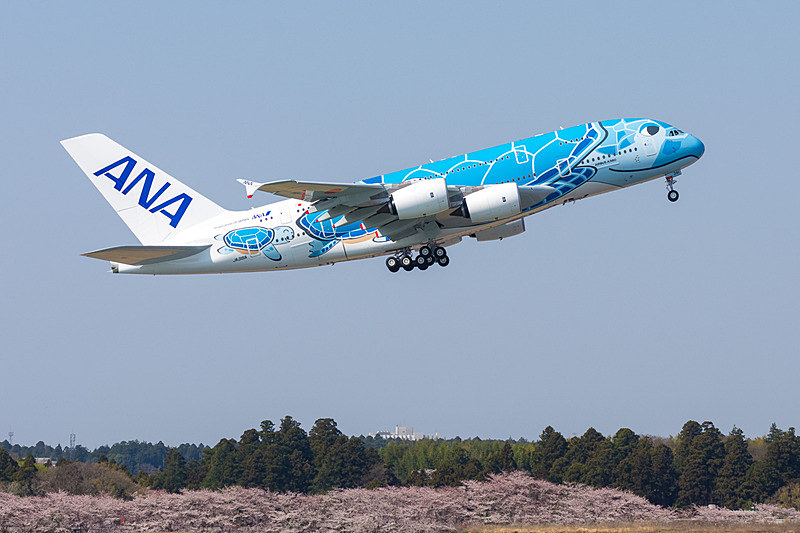 ANAのエアバス A380型機「FLYING HONU」の1号機