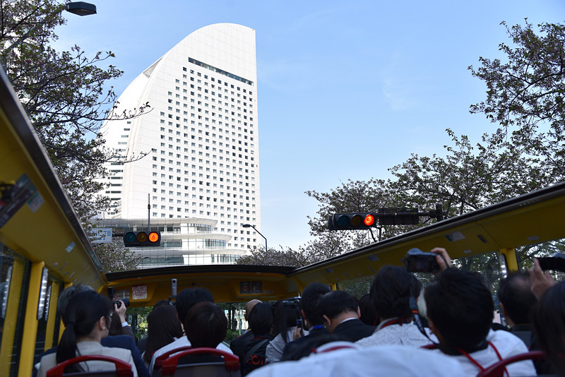 さくら通りを通過。満開のときに通ると絶景とのこと