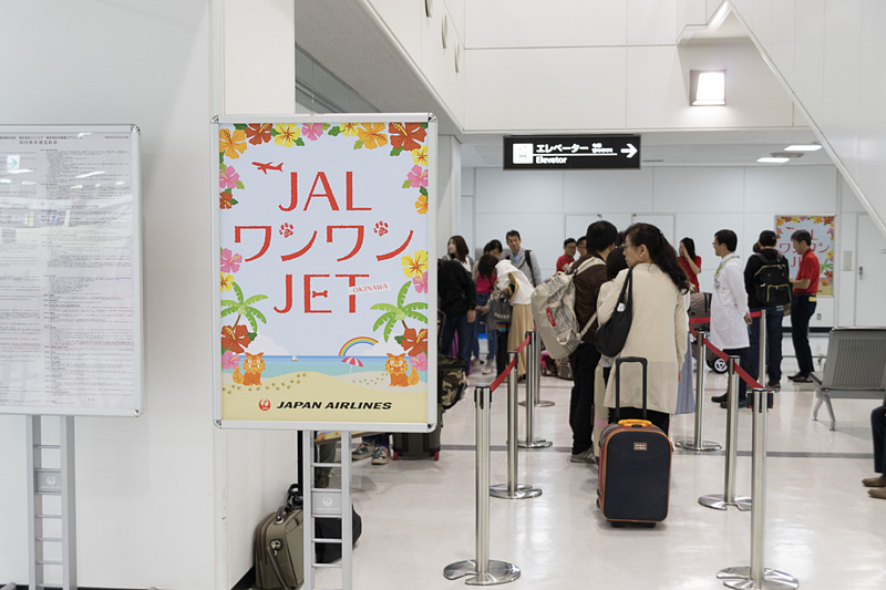 早朝から成田空港の国内線カウンター前に36組の愛犬家が集結した