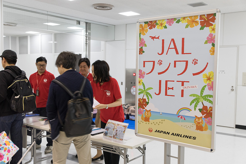 早朝から成田空港の国内線カウンター前に36組の愛犬家が集結した
