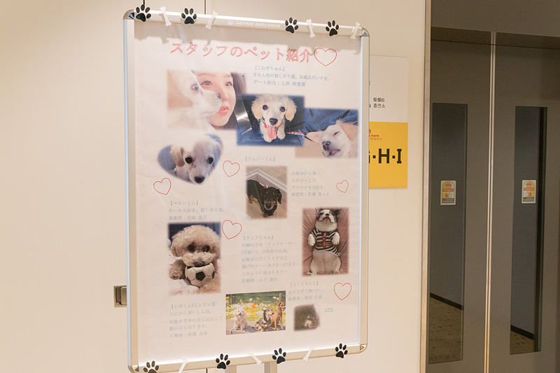 胸に取り付けた愛犬のバッジや紹介パネル