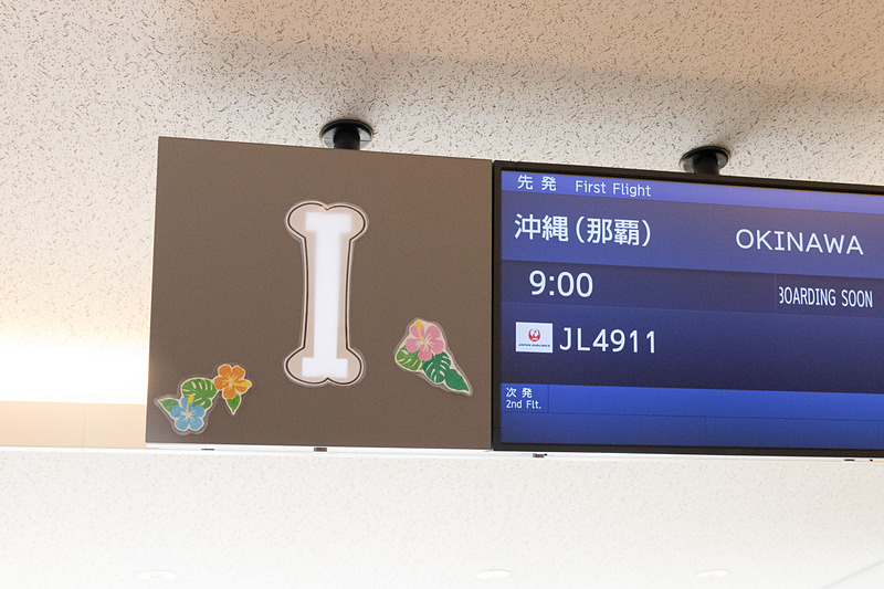 搭乗口付近にはさまざまな装飾が施されており、スタッフの愛犬家パワーを垣間見ることができる