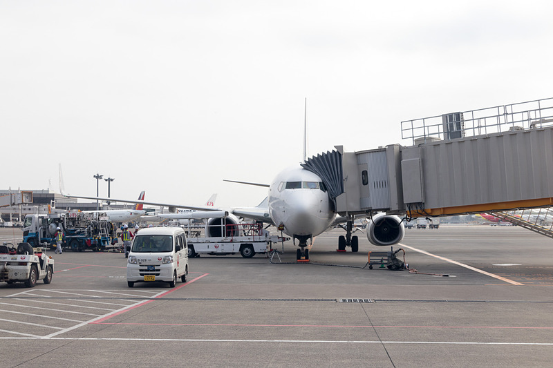今回使われた機体はボーイング 737-800型機