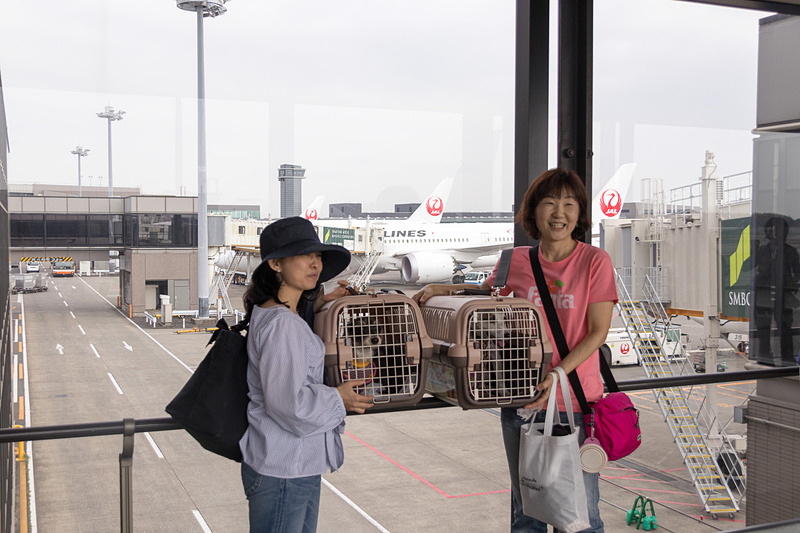 飛行機をバックに記念撮影。皆さんにこやかに愛犬と一緒に乗り込む