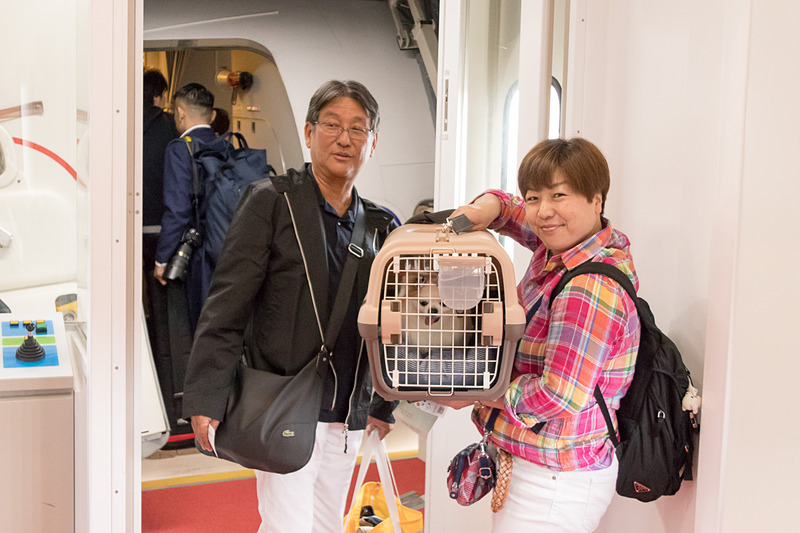 飛行機をバックに記念撮影。皆さんにこやかに愛犬と一緒に乗り込む