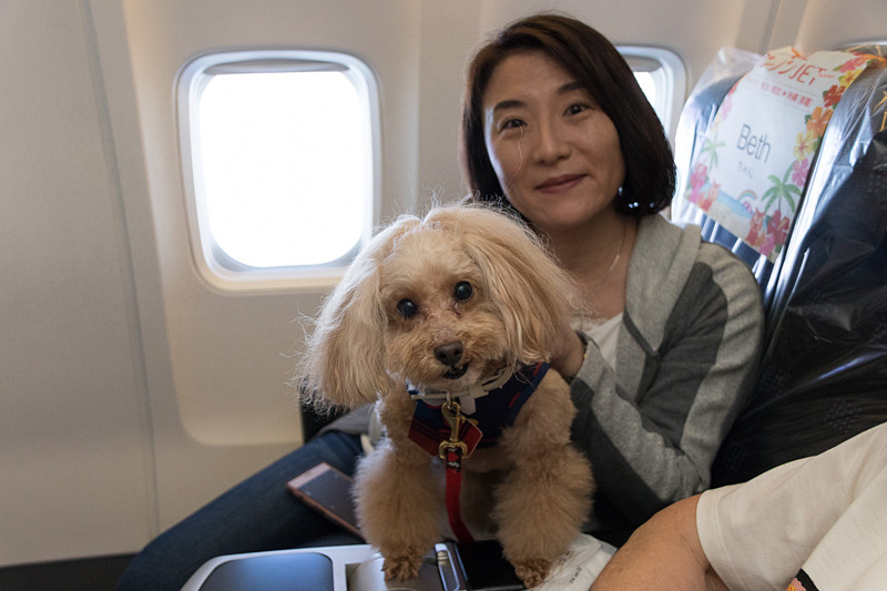 満面の笑みで自慢の愛犬と一緒に記念撮影。通常のフライトではありえないシーンだ