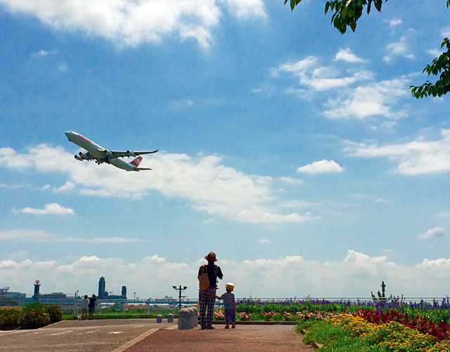 さくらの山公園（成田市）