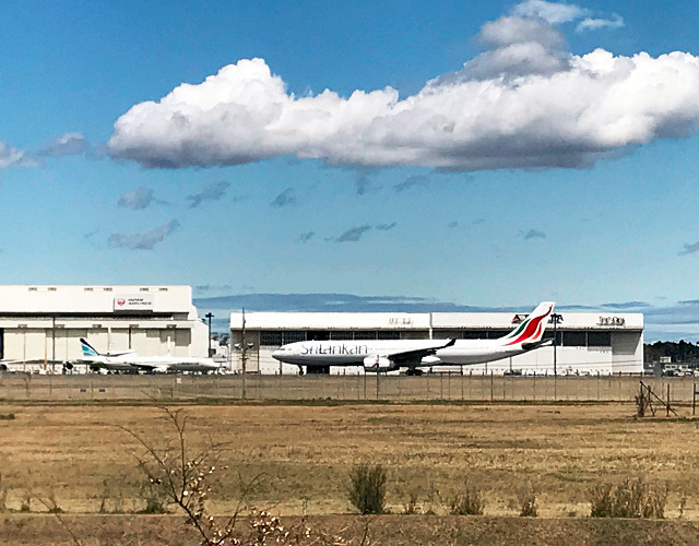 三里塚 さくらの丘（成田市）