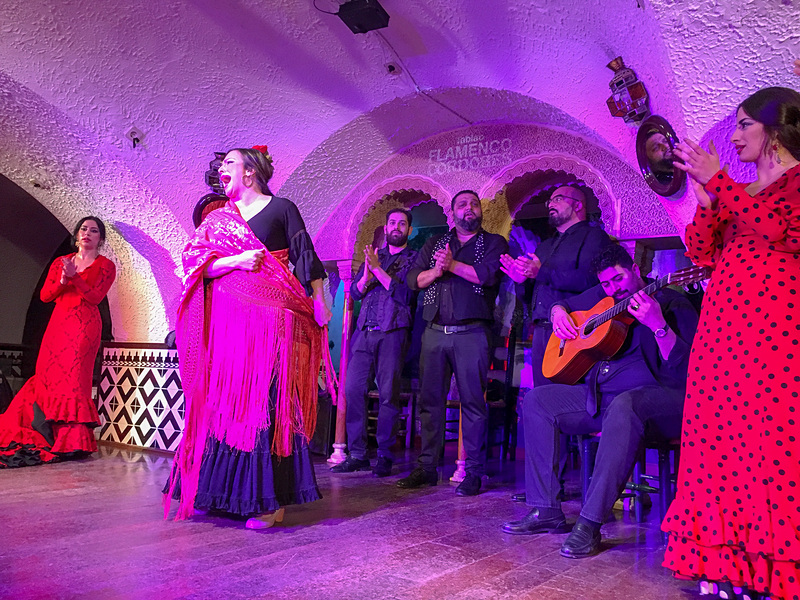 大迫力のショーに大満足の大感動