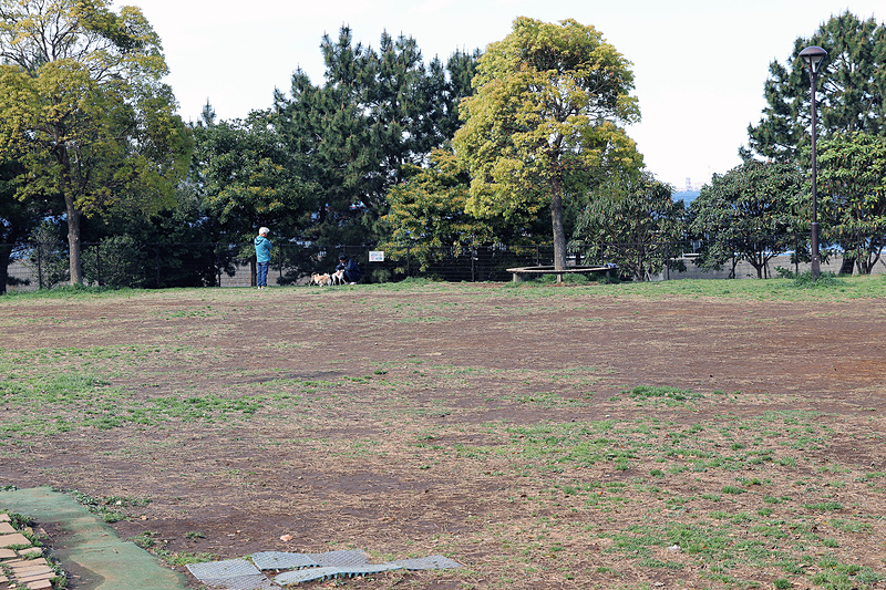 こちらはドッグラン。リードをつながずに犬を遊ばせることができる。なお、ドッグランを利用するには事前に利用者登録が必要