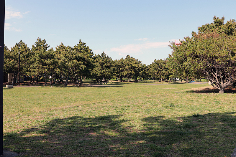 公園内の随所に芝生エリアがある。キャンプでなくても、この公園に来てのんびりするだけでストレス解消になりそうだ