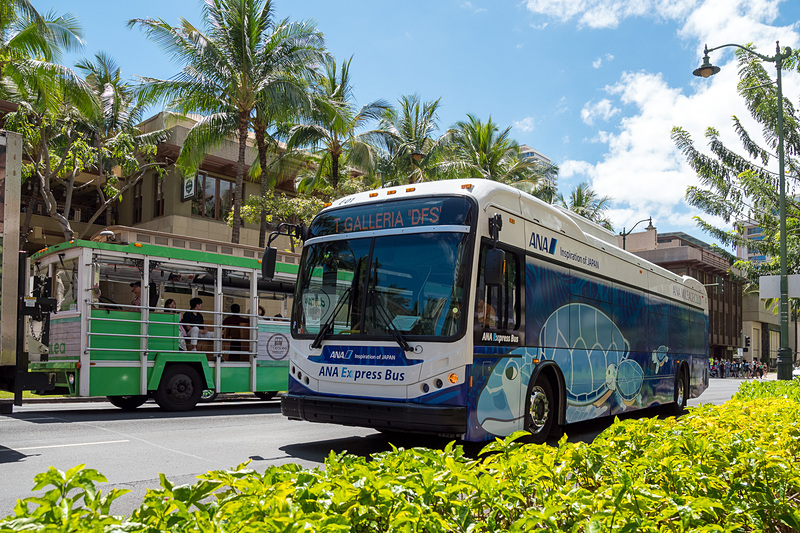 ANAエクスプレスバス（ANA Express Bus）