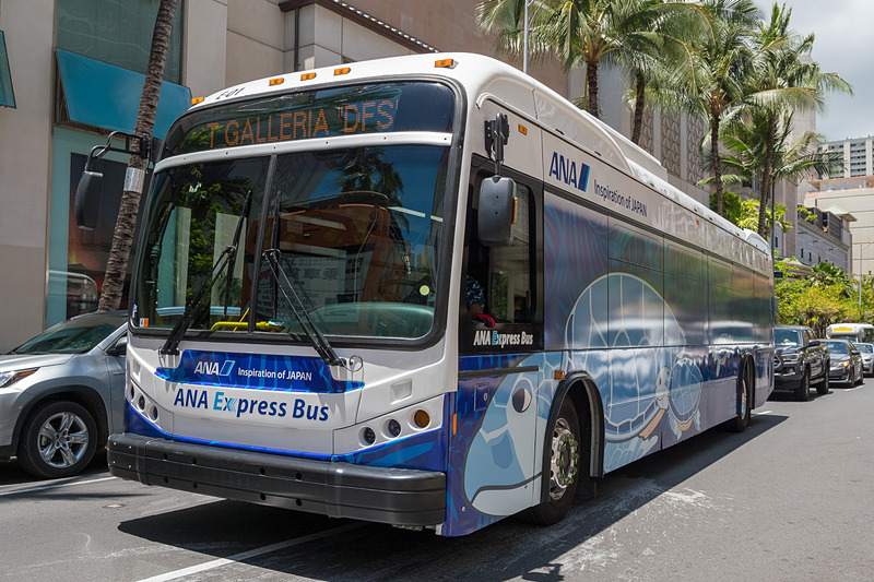 青いANAエクスプレスバス。モンステラなどハワイをイメージしたリーフを背景に親子のウミガメが泳ぐデザイン