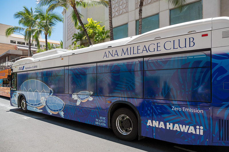 青いANAエクスプレスバス。モンステラなどハワイをイメージしたリーフを背景に親子のウミガメが泳ぐデザイン