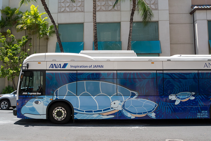 青いANAエクスプレスバス。モンステラなどハワイをイメージしたリーフを背景に親子のウミガメが泳ぐデザイン