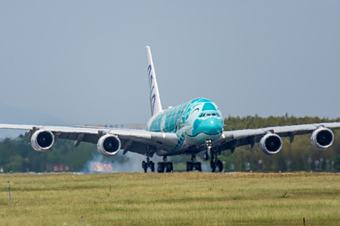 2機 ANA A380 FLYING HONU（2号機 1/500) エメラルドグリーンの2号機が笑顔で成田に。ANAのエアバス A380