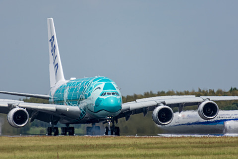 飛行機 航空機 レア フライングホヌ 全日空 (エメラルドグリーン2号機) 飛行機 航空機 レア フライングホヌ 全日空 エメラルドグリーン2