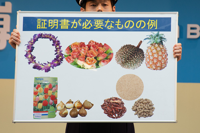 持ち込み禁止品と証明書が必要なもの