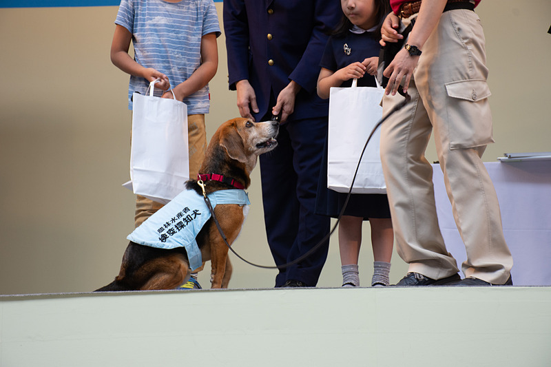 D01～D02ブースにも検疫探知犬がやってくる