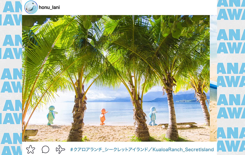 降機ビデオもHONUが登場。Instagram風にハワイの観光地を紹介するとともに、HONU（ウミガメ）保護の情報も取り入れる