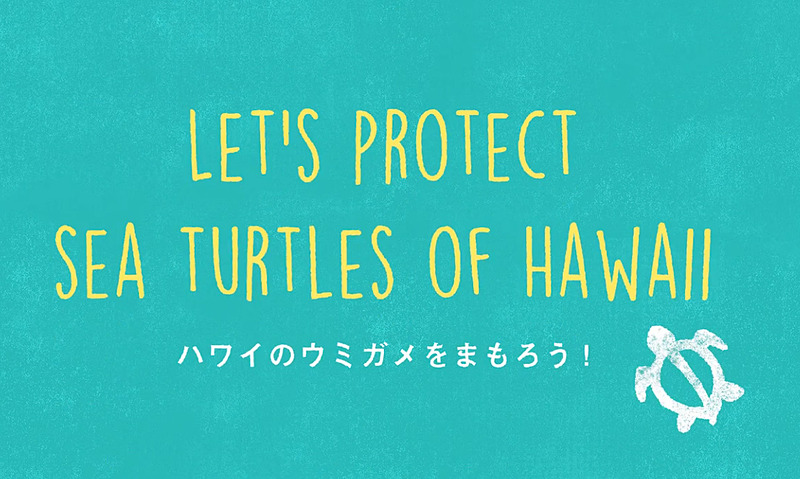 降機ビデオもHONUが登場。Instagram風にハワイの観光地を紹介するとともに、HONU（ウミガメ）保護の情報も取り入れる
