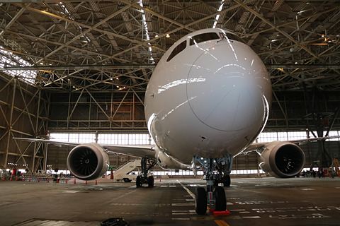 JAL B787-9 5×20Arashi Hawai 特別塗装1/200 JAL B787-9 5×