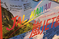 JAL、嵐を描いた「ARASHI HAWAII JET」初便の見送りイベント。クリア
