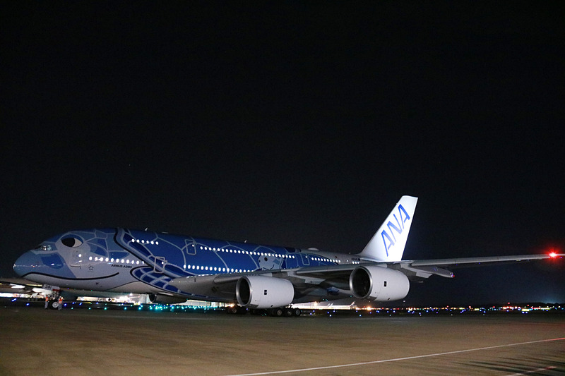 滑走路に向けて動き出したラニ。カイを半周ぐるりと回るようにして通り過ぎて行なった