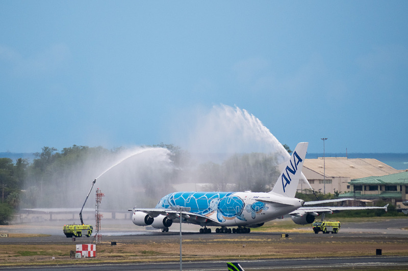 ANAの空飛ぶウミガメ、エアバス A380型機がついに成田～ホノルル線に就航。初便に乗ってハワイに行ってみた
