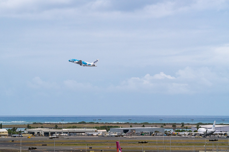 ダニエル・K・イノウエ国際空港の08R滑走路から離陸するANAのエアバス A380型機「FLYING HONU」
