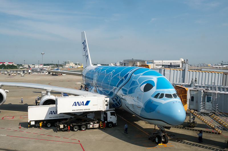 成田空港に到着したANAのエアバス A380型機「FLYING HONU」