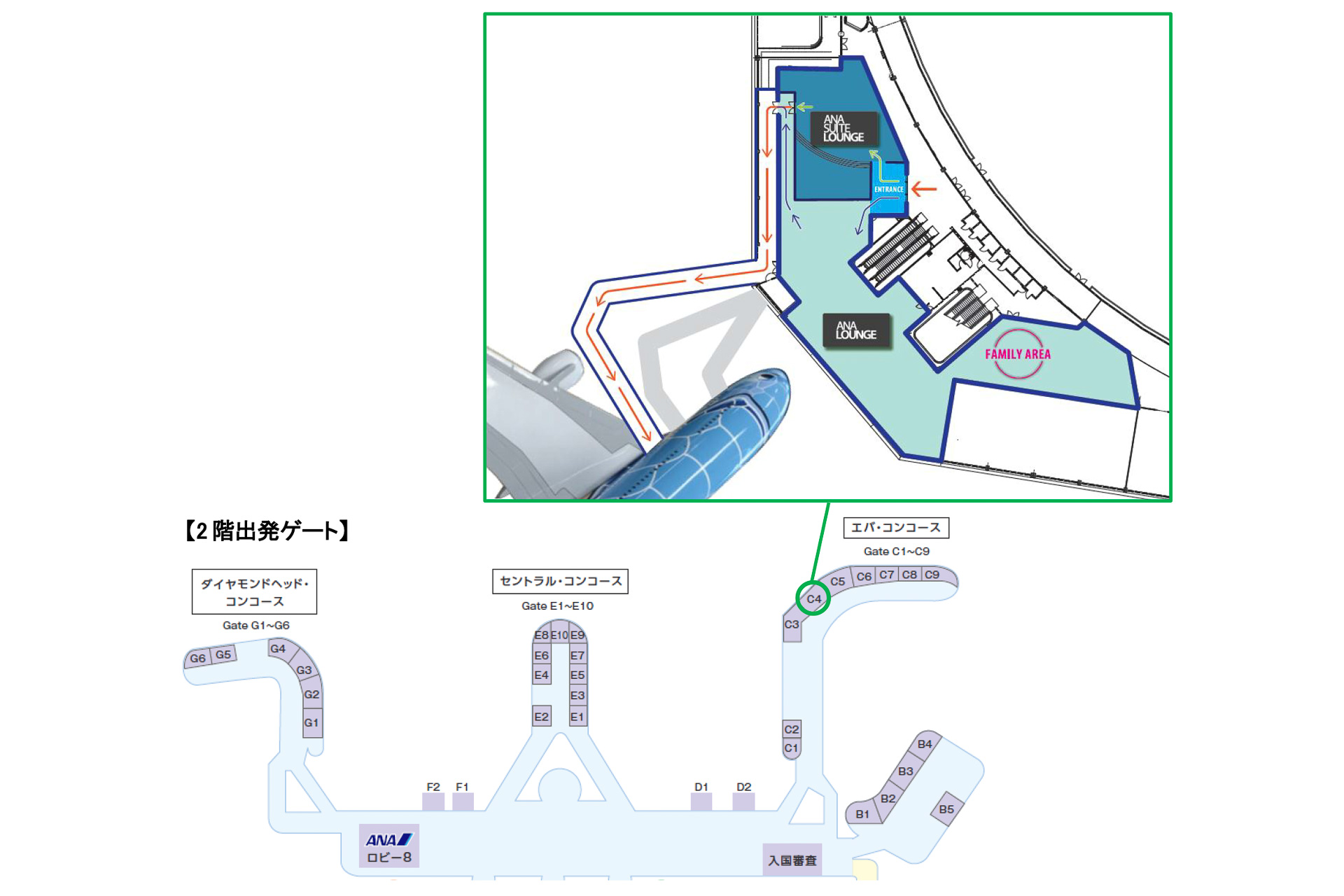 チェックインカウンターとロビーの位置関係（画像出典：ANAの2019年5月8日付けニュースリリース「ダニエル・K・イノウエ国際空港の自社ラウンジを2019年5月24日よりオープンします」）