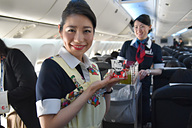 JAL、「JAL DREAM EXPRESS 90」の遊覧飛行を実施。特別塗装機で