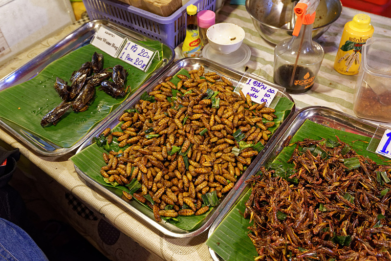 その気になれば昆虫食だって買えてしまう（苦手な方は拡大注意！）