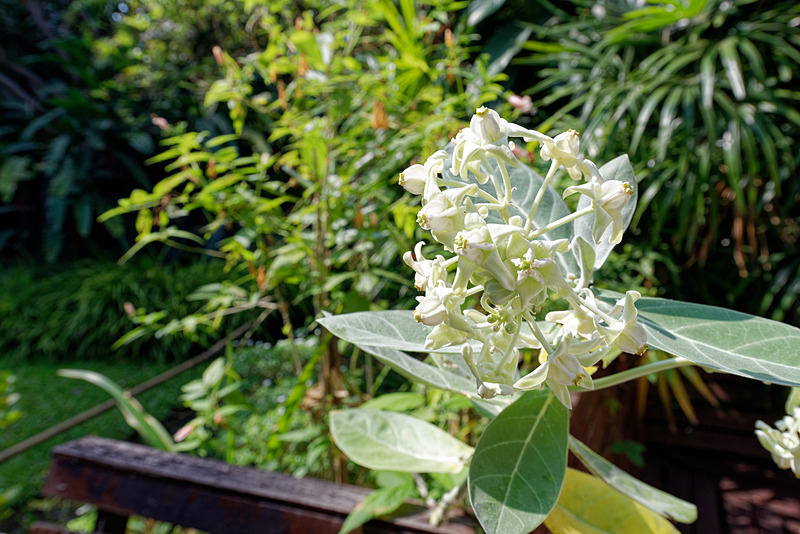 結婚式会場としても利用可能だとのこと
