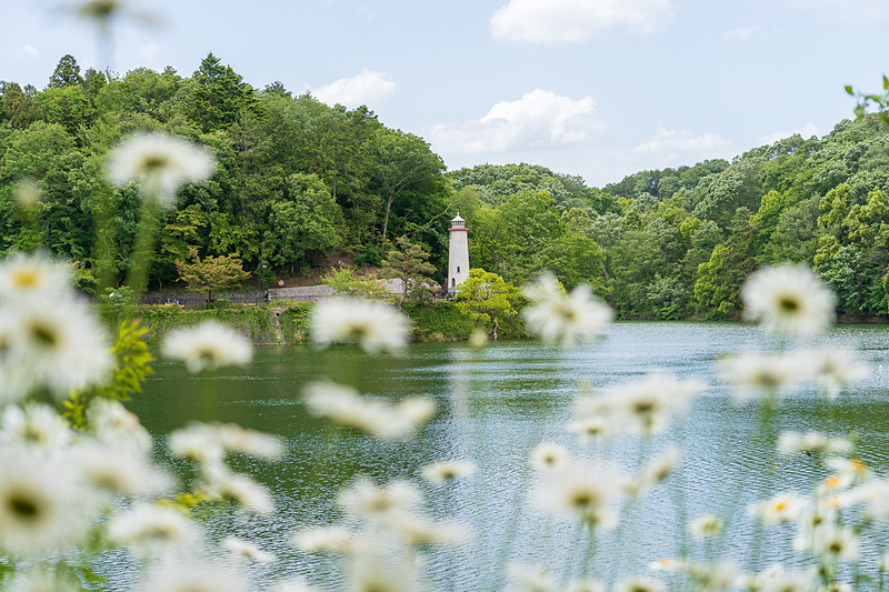 メッツァビレッジの桟橋辺りで対岸に見える灯台