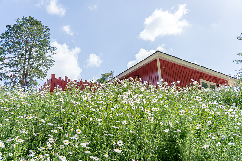 おさびし山エリアは高低差があるので歩きやすい靴がお勧め