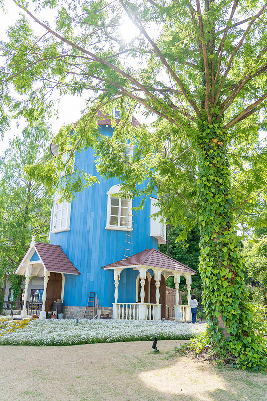 ムーミン屋敷の横にある印象的な木。ここで自撮りするインスタ女子が何人かいました