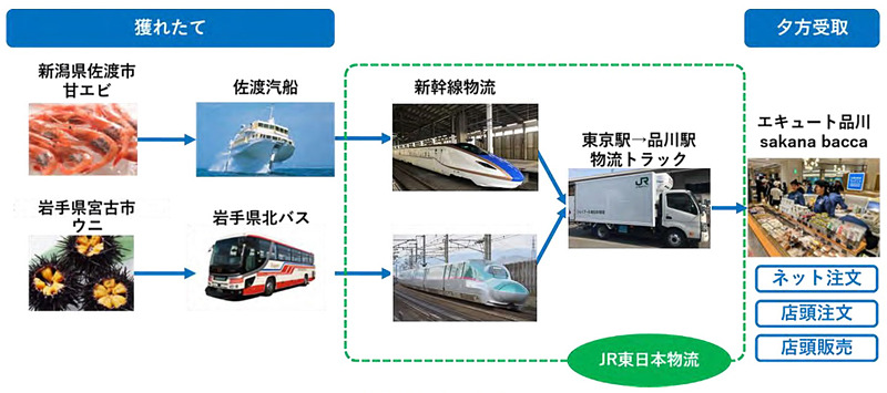 「新幹線物流による鮮魚輸送の実証実験」の輸送イメージ