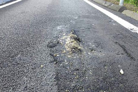 路面の損傷状況