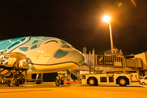 10/20までじんさん専用 フライングホヌ／グリーン発光1/150 日本とハワイを笑顔で結ぶ。ANA A380型機「FLYING HONU（空飛ぶ