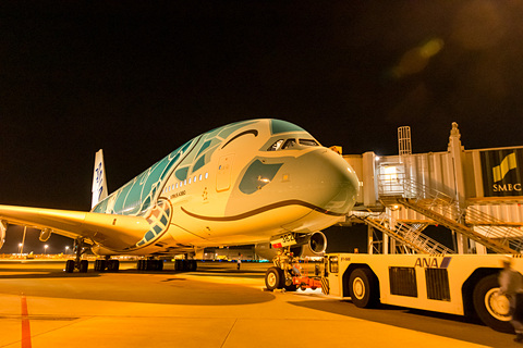 優太朗さん確認用→専用 Flying Honu 約50cm 日本とハワイを笑顔で結ぶ。ANA A380型機「FLYING HONU（空飛ぶ