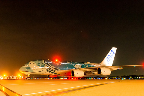 優太朗さん確認用→専用 Flying Honu 約50cm 日本とハワイを笑顔で結ぶ。ANA A380型機「FLYING HONU（空飛ぶ