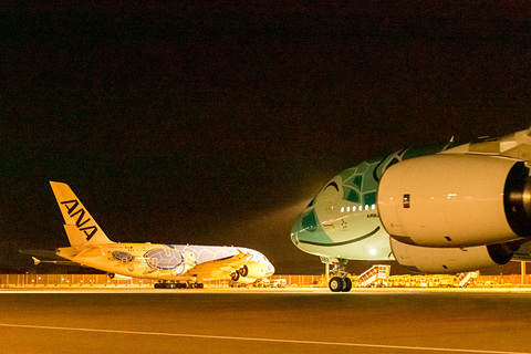 優太朗さん確認用→専用 Flying Honu 約50cm 全日空商事 A380 ANA全日空 FLYING HONU(フライングホヌ/カイ