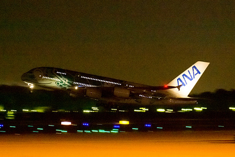 優太朗さん確認用→専用 Flying Honu 約50cm 全日空商事 A380 ANA全日空 FLYING HONU(フライングホヌ/カイ