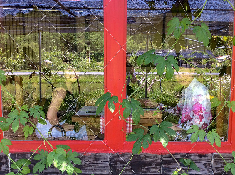 窓枠も赤でグリーンが映えます