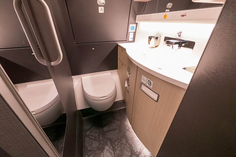 ラバトリーは設置場所によってさまざまなレイアウトがある