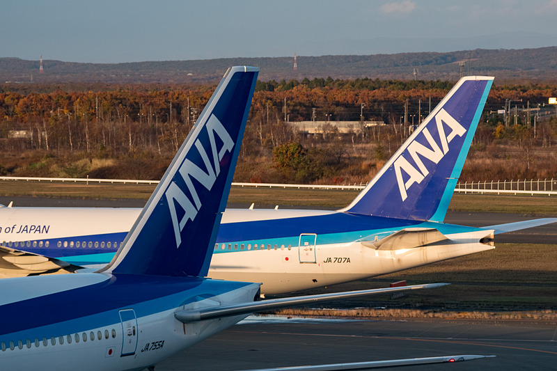 ANAが2019年8月～9月発券分の燃油サーチャージ適用額を発表した