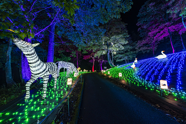 「アニマルロート」