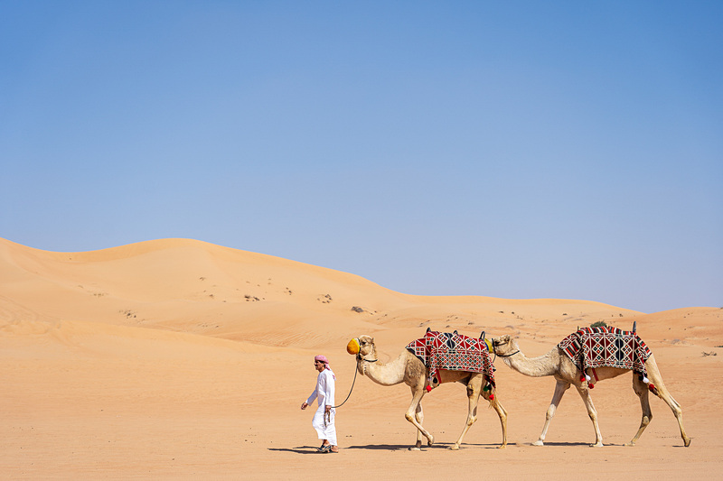 近代的なシティからわずか1時間のドライブでこの光景。それがドバイの魅力の1つ